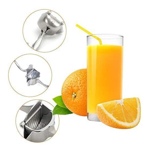 Efficient Citrus Juicer